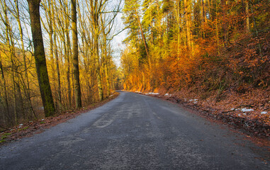 Weg durch den Herbstwald