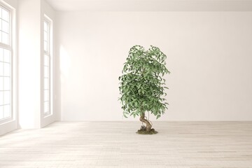 White empty room concept with green tree in center. 3D illustration