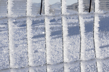A fence whose structure is covered with beautiful ice crystals in winter