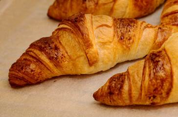 Croissants fresh from the oven on a parchment covered oven grill tray