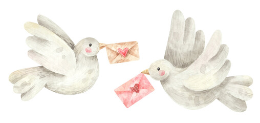 Two doves with love letters. Watercolor illustration of white birds with letters. Hand drawn elements for wedding or St. Valentines Day decoration