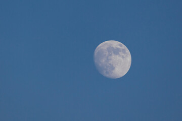 Obraz premium view of the moon during the day . The Moon is Earth's only natural satellite.