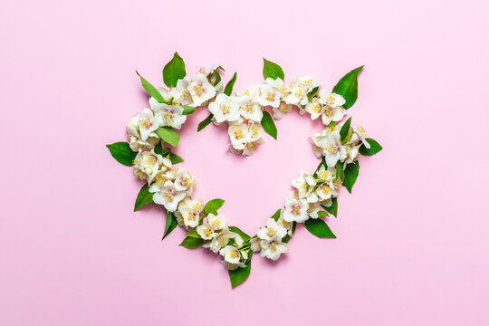 Valentine's Day background, heart on pink. White jasmine flowers in the shape of a heart.Floral greeting card. For the wedding, birthday, or other celebration.Top view.