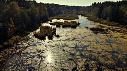 View from the drone on Lake Komosa on a sunny day among the forests of Podlasie.