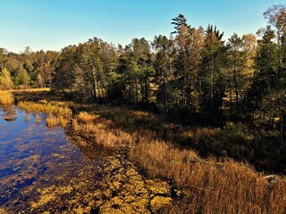 View from the drone on Lake Komosa on a sunny day among the forests of Podlasie.