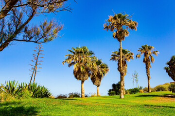 Obraz premium Picturesque park