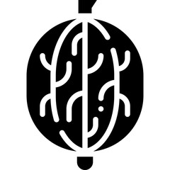gooseberry solid icon
