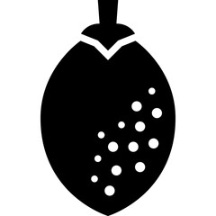 sapodilla solid icon