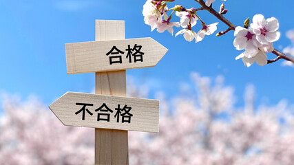合格と不合格の文字入り道しるべと桜背景
