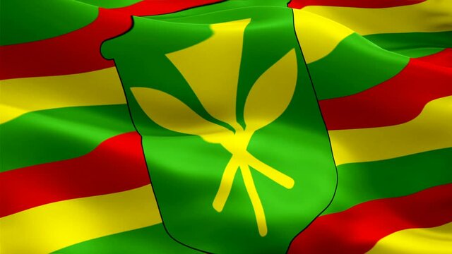 Kanaka Maoli Hawaiian flag. National 3d Kanaka Maoli Hawaiian flag waving seamless loop animation. Kanaka Maoli Hawaiian flag HD Background Slow Motion video. Kanaka Maoli Hawaiian flag Closeup
