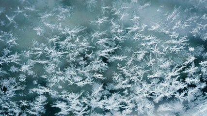 Fototapeta na wymiar snow crystal in winter