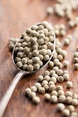 Whole pepper spice. White peppercorn grain in spoon