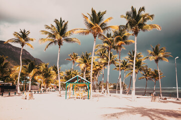 Fototapeta premium beautiful beach with palm trees in the Caribbean
