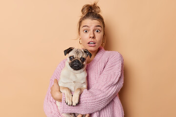 Indoor shot of scared European woman with combed hair holds pug dog carries favorite puppy wears...