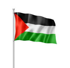Fototapeta na wymiar Palestinian flag isolated on white