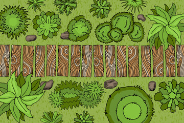 Vector illustration. Landscape design. Top view. Wooden path, trees, bushes, stones.  View from above. Hand drawing.