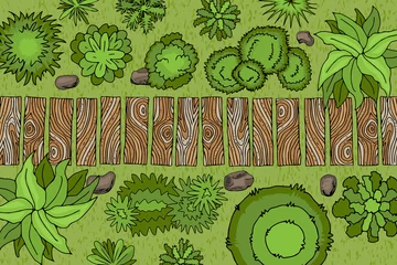Plexiglas foto achterwand Vector illustration. Landscape design. Top view. Wooden path, trees, bushes, stones.  View from above. Hand drawing. © Алексей Шпадарук