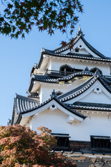 彦根城と紅葉 秋