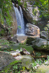 Fototapeta premium Brazilian Beautifull Waterfall