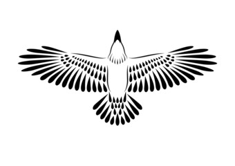 Engraving of stylized raven. Soaring Raven. Decorative bird. Linear drawing. Flying bird. Stencil art.