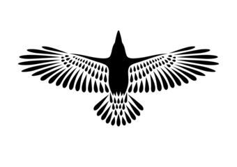 Engraving of stylized raven. Soaring Raven. Decorative bird. Linear drawing. Flying bird. Stencil art.