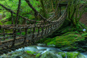 清流と新緑に包まれた徳島の秘境、奥祖谷二重かずら橋