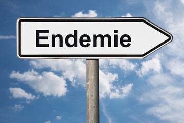 Fototapeta premium Wegweiser Endemie