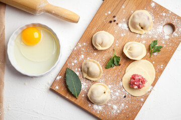 Meat dumplings. Raw dough with minced meat for dumpling on white background 