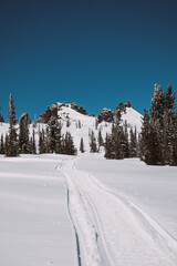 Obraz premium Sheregesh. Russia. White snow-covered rocks of an unusual shape in the distance against a blue sky. Winter. Snowmobile tracks visible