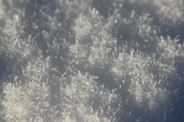 Fototapeta premium the fallen snow consists of pointed ice crystals