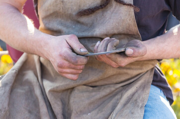 Horse shoe in hands