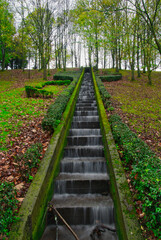 railway in the forest