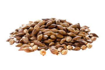 Pile of barley tea isolated on white background, top view. Malted and roasted barley isolated on white background. Roasted barley tea isolated on white, top view. Dark grains of barley.