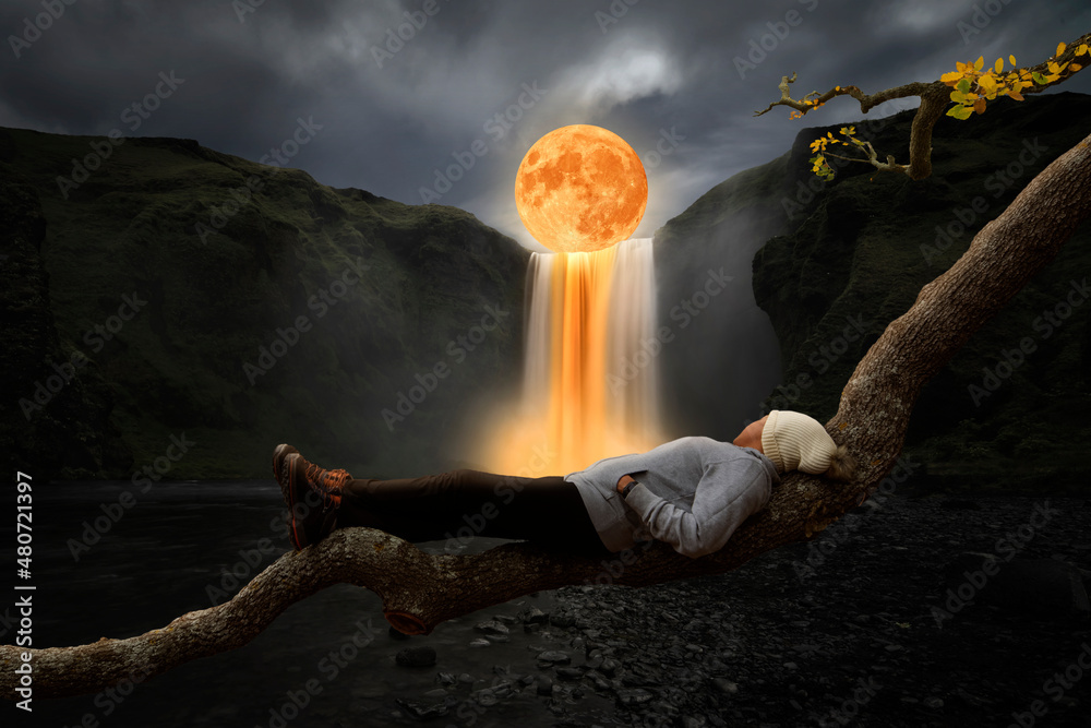 Wall mural woman on top of a branch looking at the universe