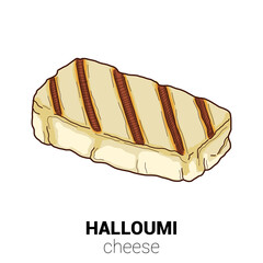 Camembert Cow Cheese Colorful Vector Illustration