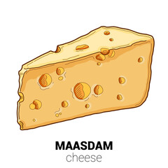 Maasdam Cow Cheese Colorful Vector Illustration