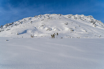 Mountain winter landscape in the Tatras, mountain view covered with snow in frosty sunny weather