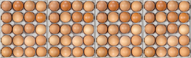 Eggs in Carton. Eggs in Box. Healthy Farm Food in Eco Packaging. Panoramic Banner.