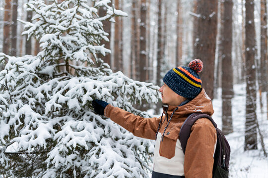 young man in knitted hat with backpack walking in snowy forest in winter touching spruce branches covered with snow, enjoying the nature, snowing hiking