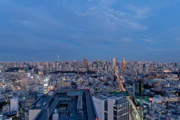 東京都渋谷区にある高層ビルから見た東京の夜の都市景観