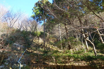 山の風景