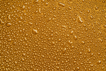 Drops, drips, blobs, beads, dribbles of water on the gold brilliant surface. Monochrome macro or...