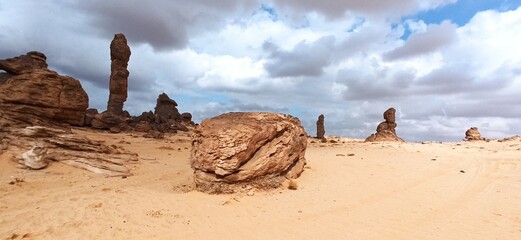 in the kingdom of saudi arabia