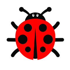 Obraz premium Ladybug or ladybird vector graphic illustration, isolated. Cute simple flat design of black and red lady beetle.