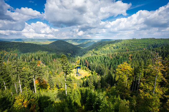 Ellbachseeblick im Schwarzwald