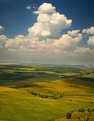 green field and sky