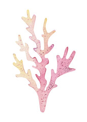 Watercolor sea set of starfish, seashells, conch on an isolated white background. underwater world hand drawing, summer clipart. For Printing on postcards, packaging, fabric, design, textile.