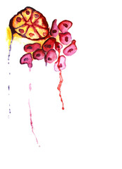 watercolor sketch of pancreas under a microscope