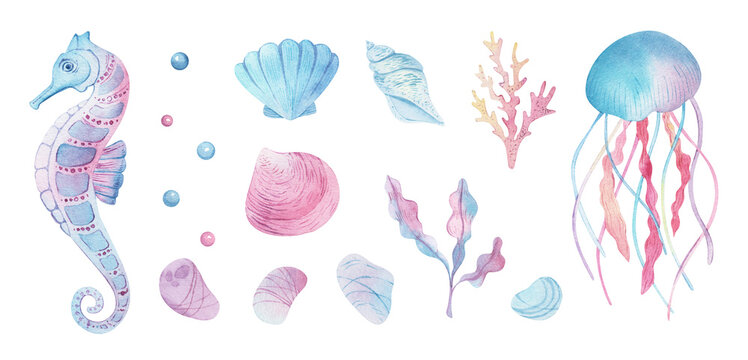 Sea animals set. Blue watercolor ocean fish and coral. Shell aquarium background. marine illustration, jellyfish, starfish