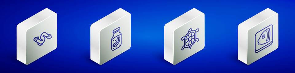 Set Isometric line Eel fish, Sea cucumber in jar, Turtle and Fish head icon. Vector